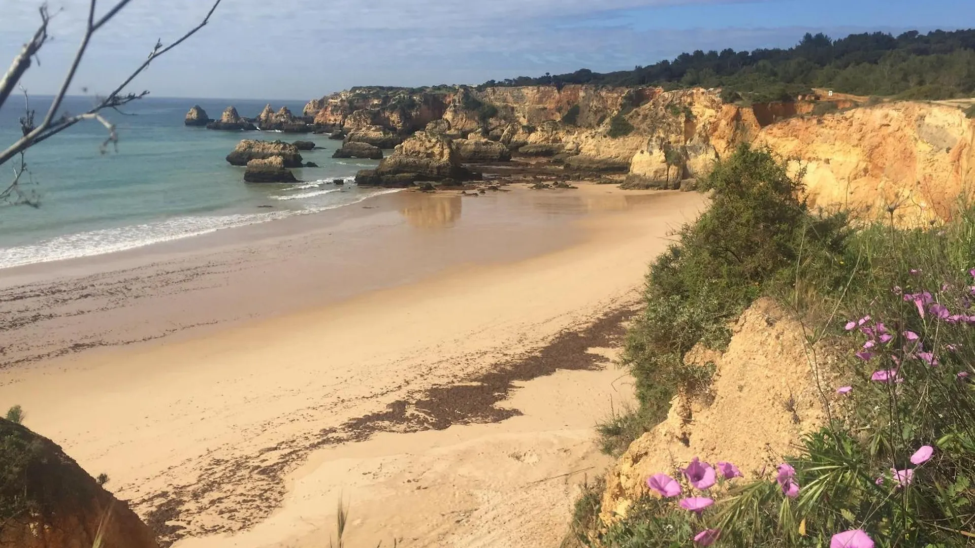 Bed & Breakfast Casa Tres Palmeiras Portimao
